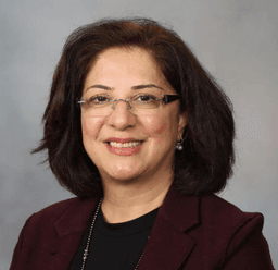 Afsaneh Alavi